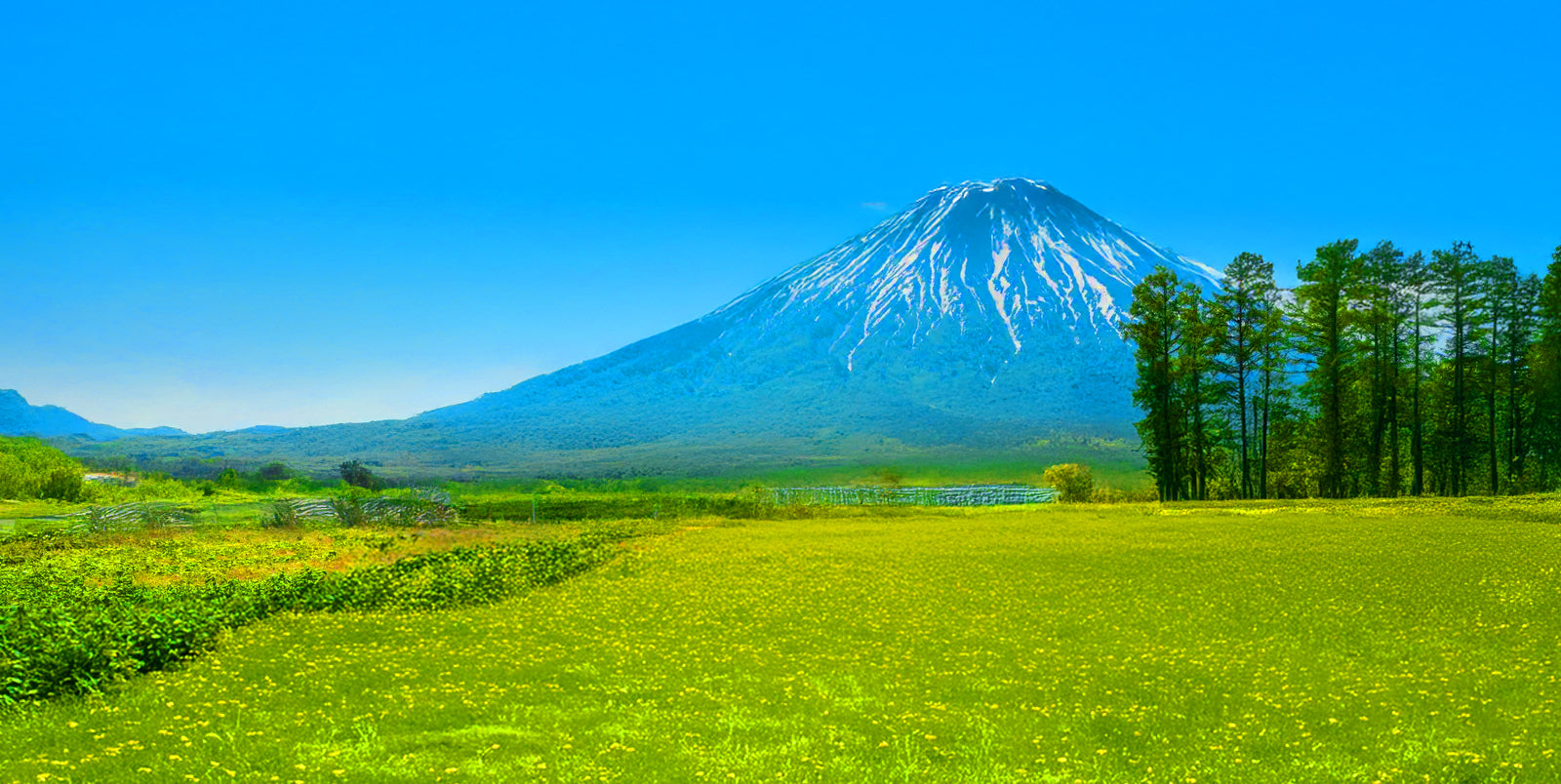 Hokkaido Snacks and Flavors: A Journey Through Japan’s Northern Culinary Frontier