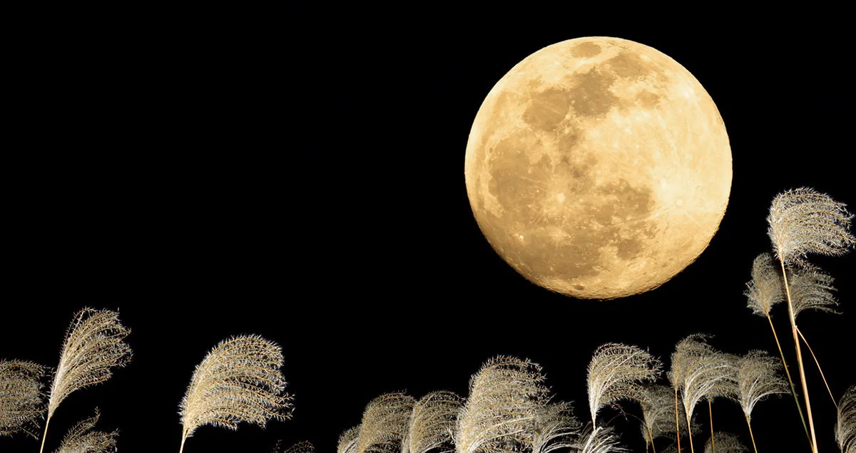 The Beauty and History of Otsukimi (Moon Viewing)