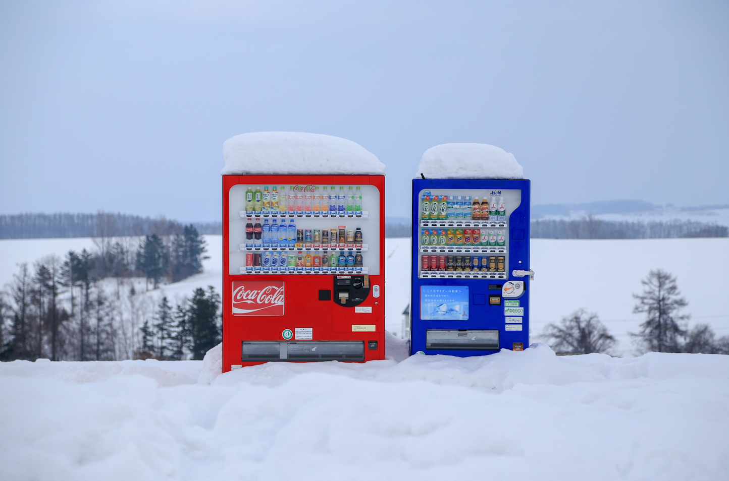 Japan Menu Machine Guide to Japanese Vending Machines 2024 – Sakura Box
