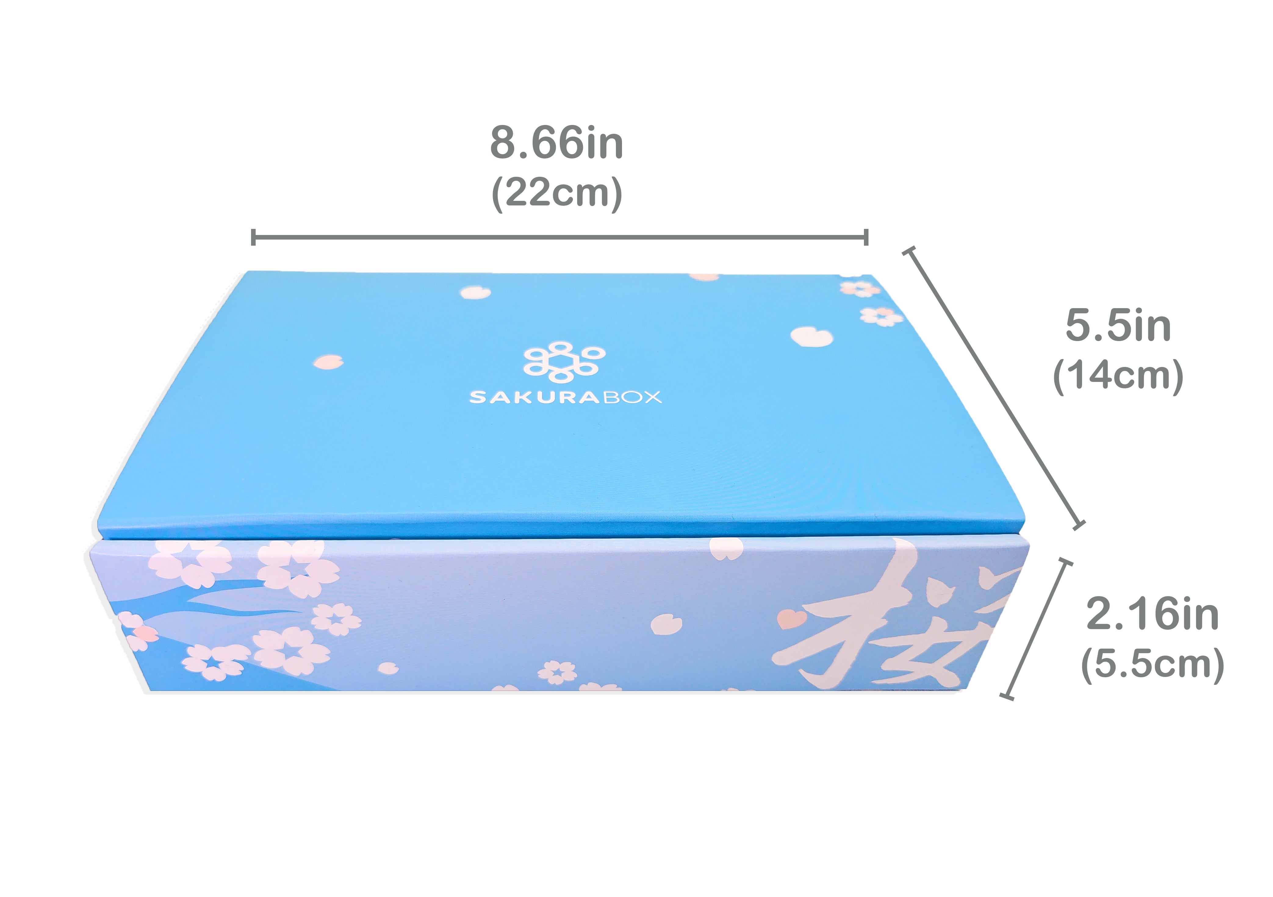 20 Piece Dagashi Box