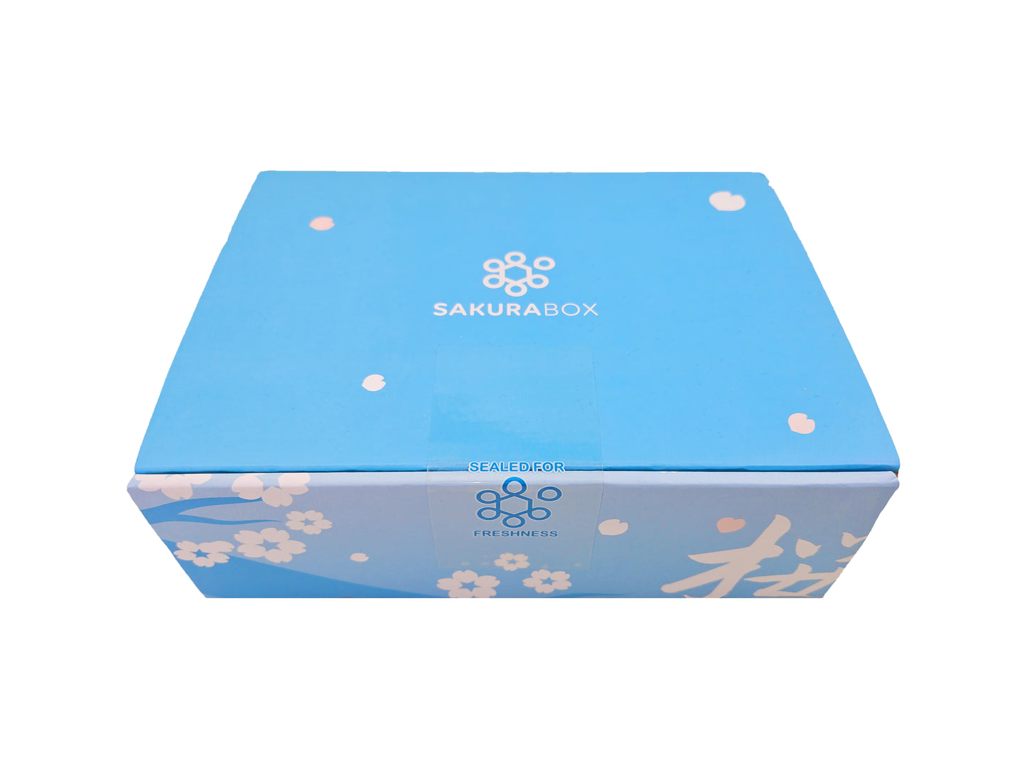 30 Piece Vegetarian/Halal Friendly Dagashi Gift Box