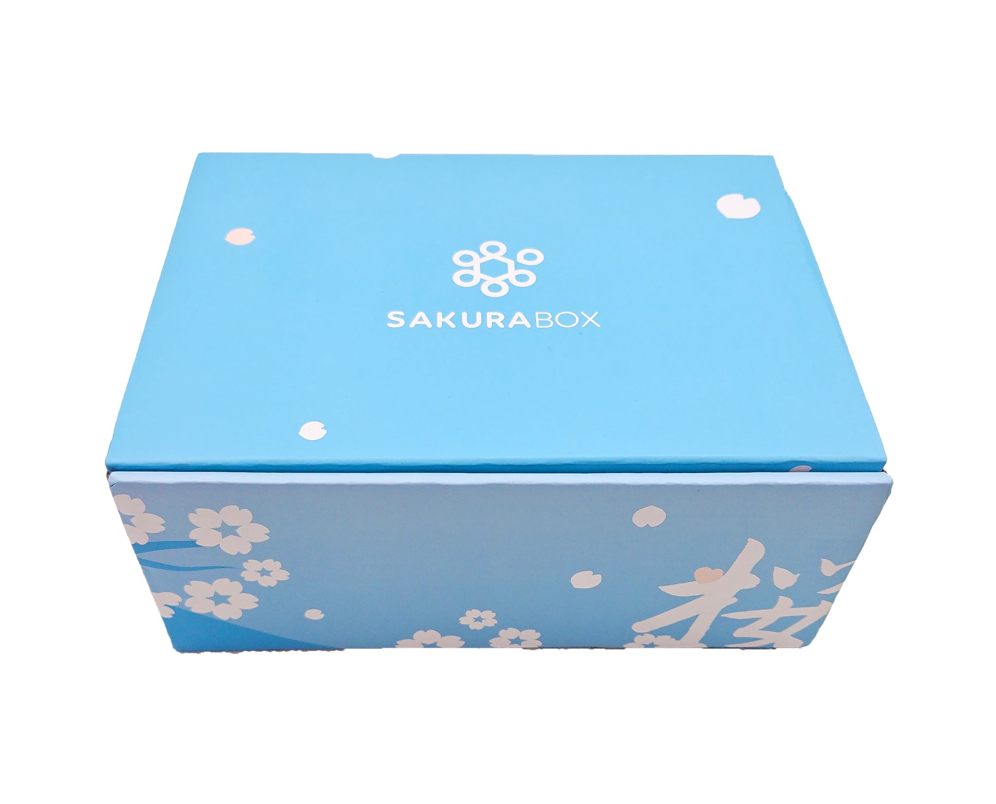 40 Piece Dagashi Japanese Candy & Snack Box – Sakura Box