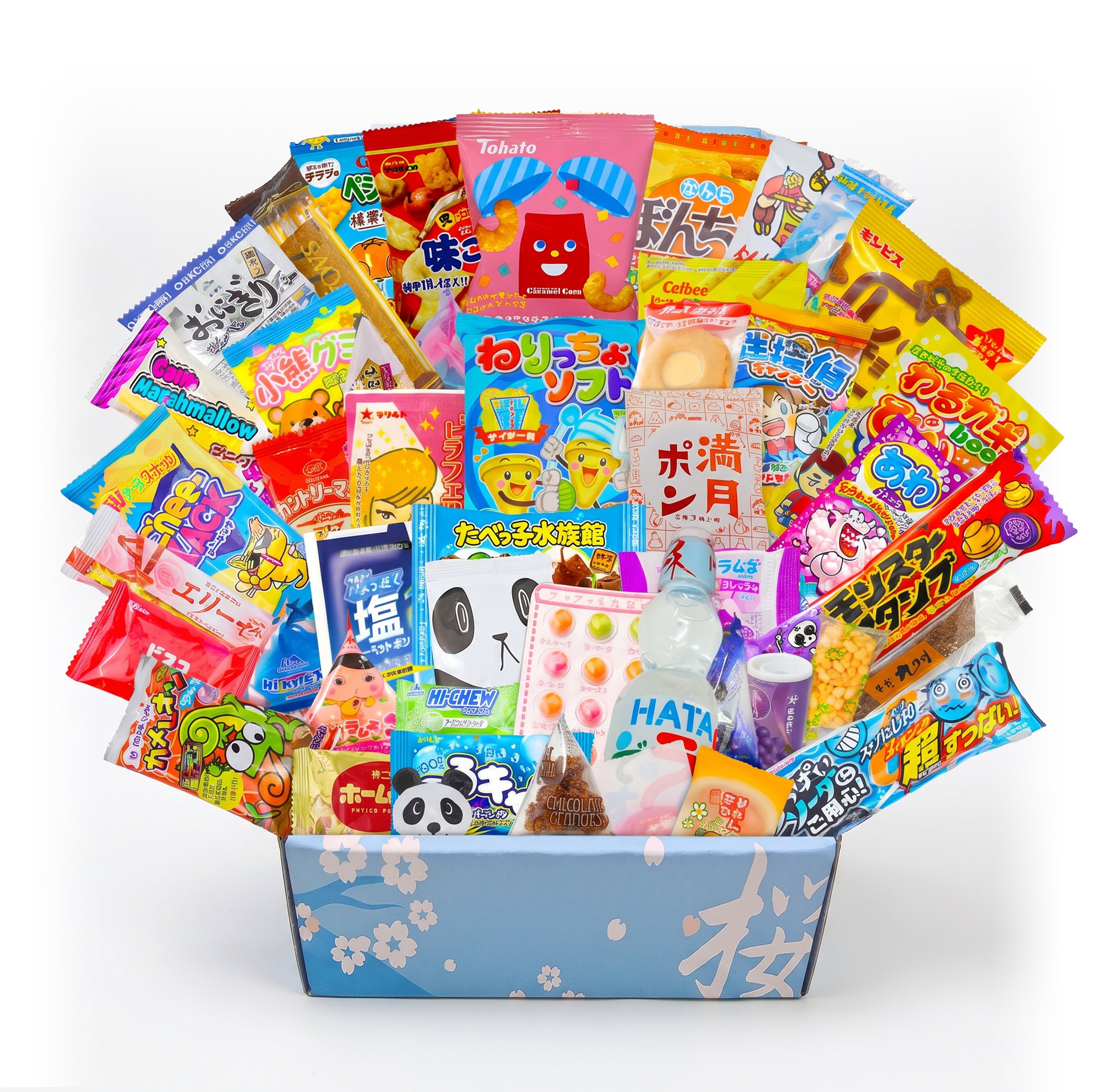 50 Piece Dagashi Box
