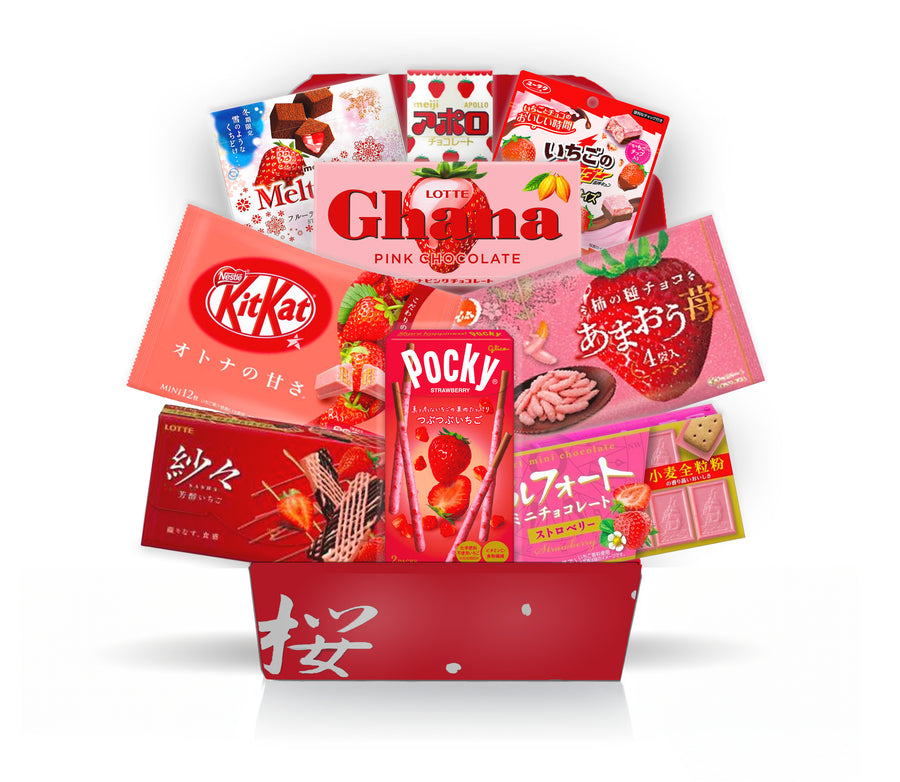Premium Japanese Strawberry Chocolate Gift Box