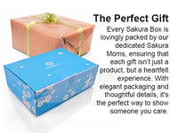 30 Piece Dagashi Box